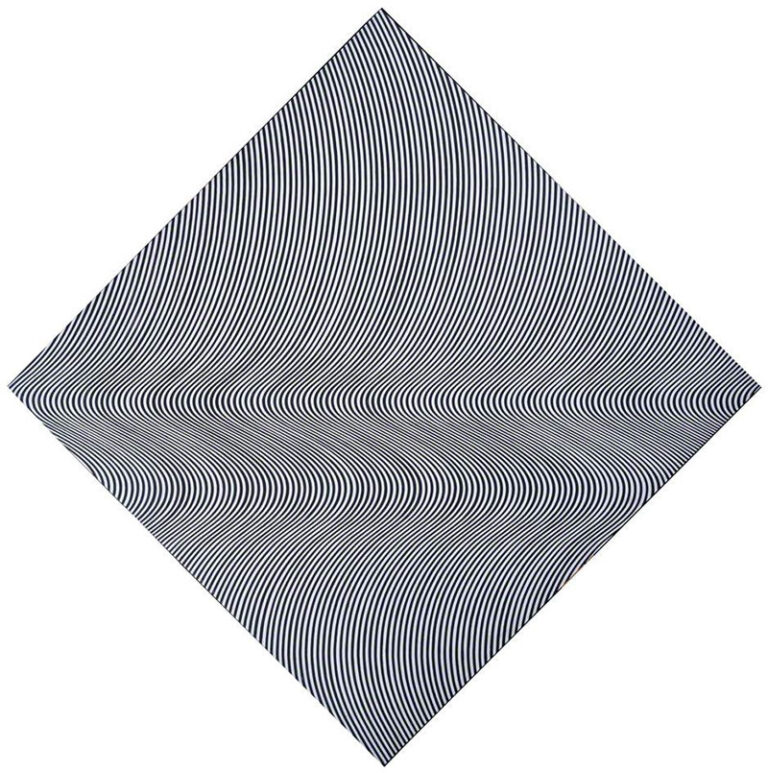 Op Art Examples: Mind-Bending Optical Illusions