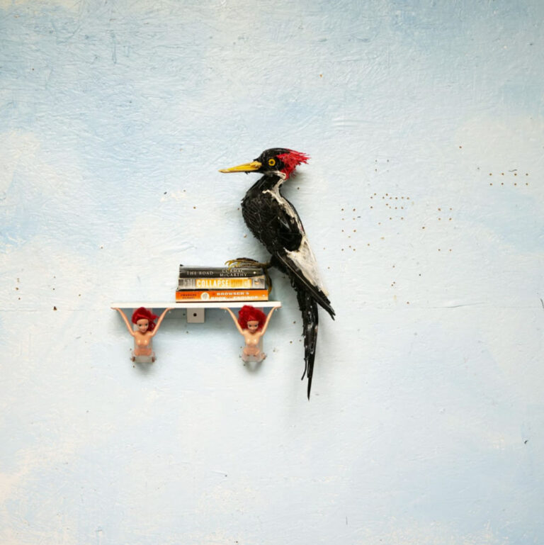 Thomas Deininger: Trash Turned into Treasure