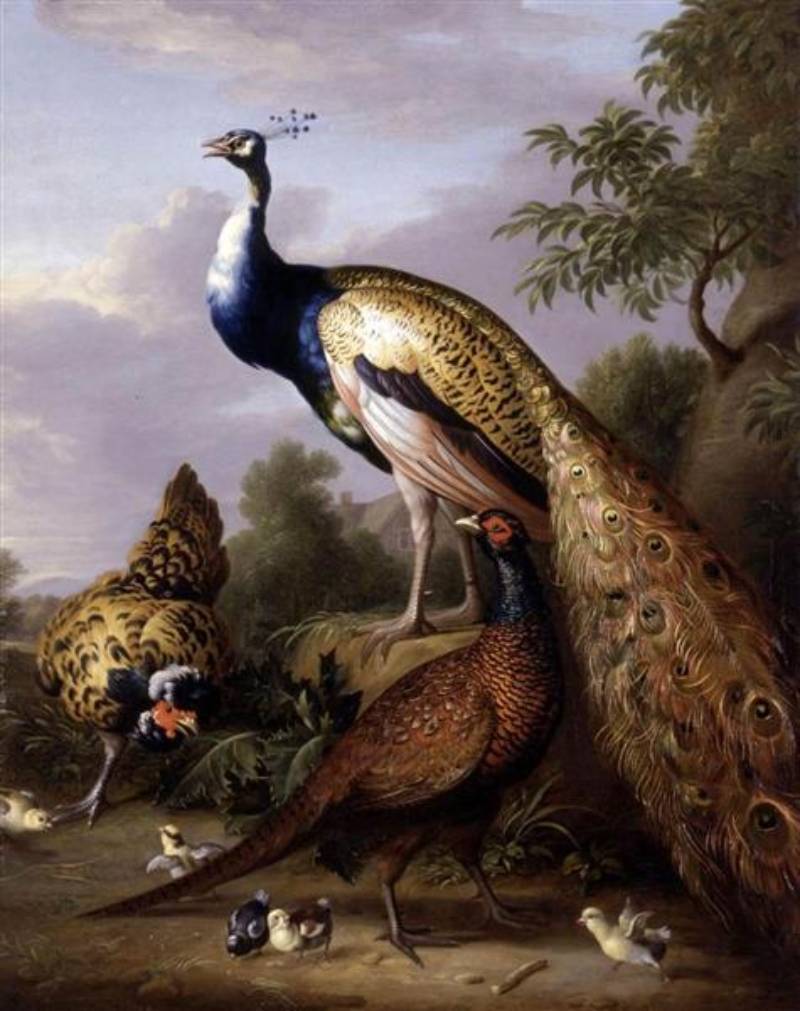 Peacock, Hen and Male Pheasant in a Landscape by Tobias Stranover (1756)