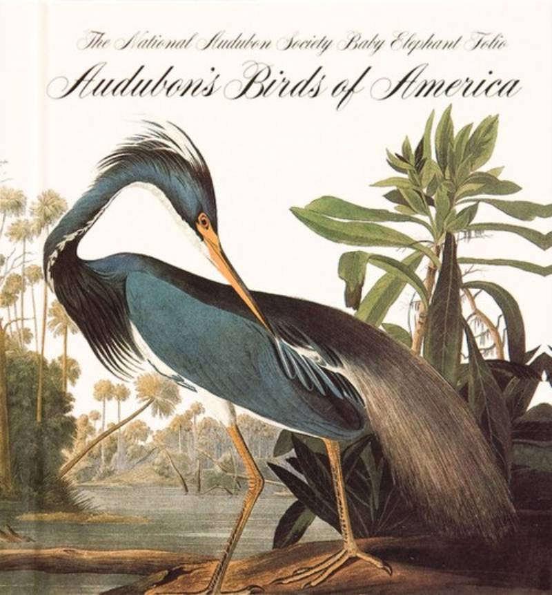 The Birds of America by John James Audubon (1827-1838)