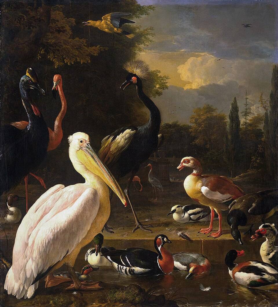 The Floating Feather by Melchior d'Hondecoeter (c. 1680)