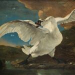Famous Bird Paintings Every Art Lover Should Know