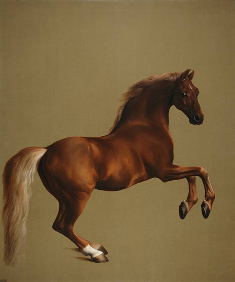 Whistlejacket by George Stubbs (1762)