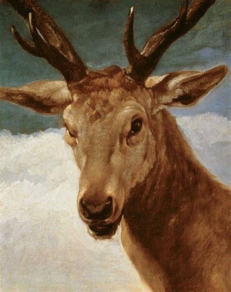 Head of a Stag by Diego Velazquez