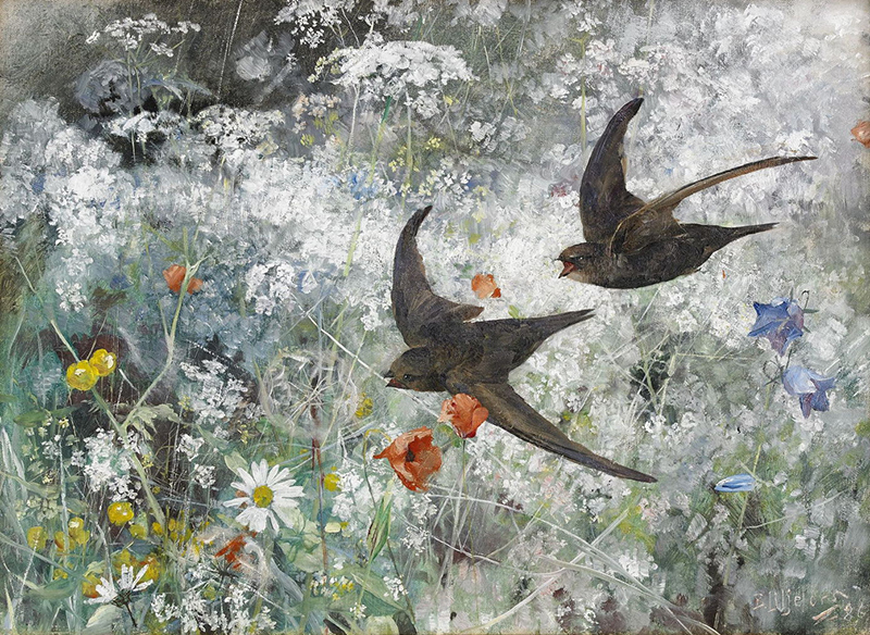 Swallows by Bruno Liljefors